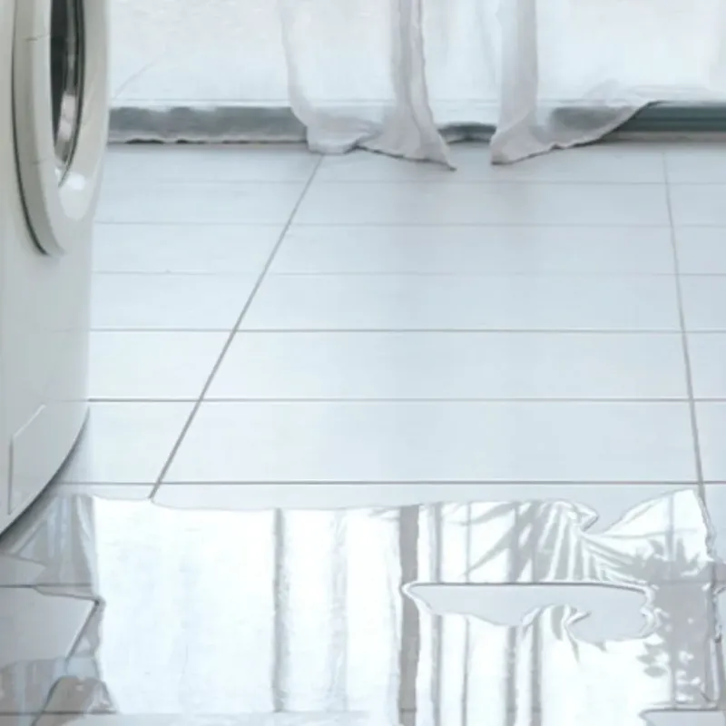 Appliance Leak Cleanup in Satsuma, AL