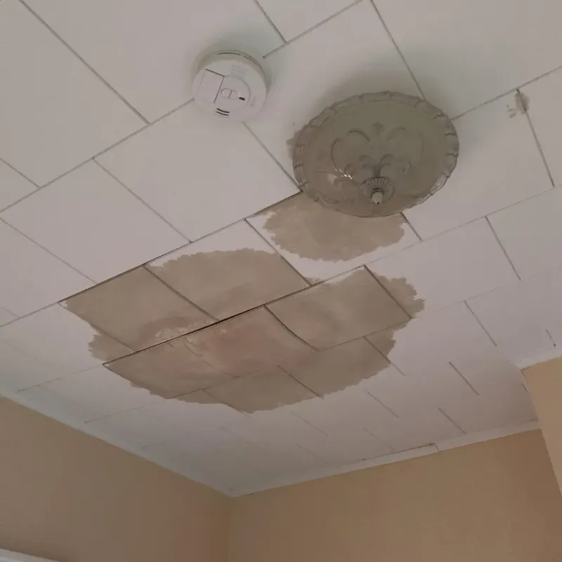 Ceiling Water Damage Repair in Satsuma, AL