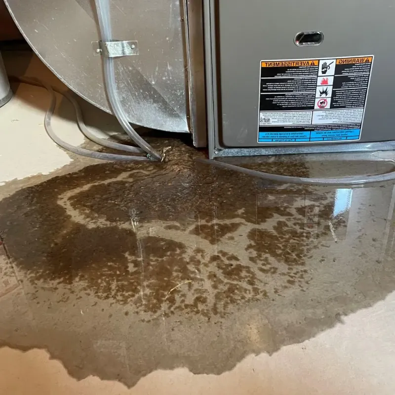 Pipe Burst and Leak Restoration in Satsuma, AL