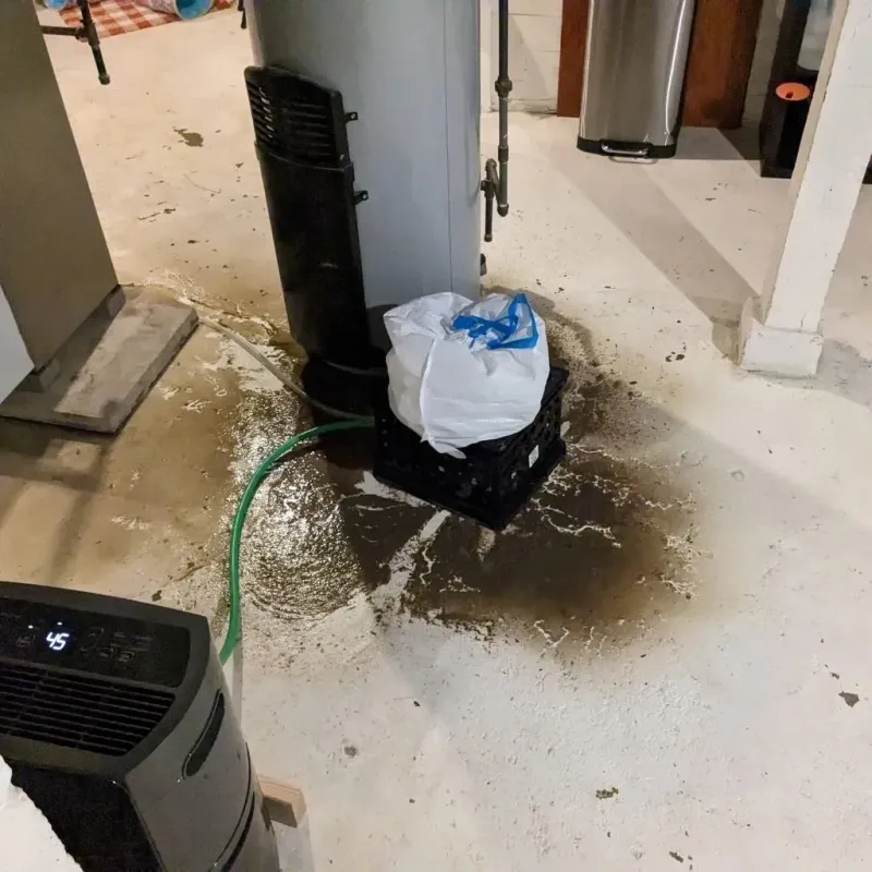 Sewage Backup Cleanup Service in Satsuma, AL